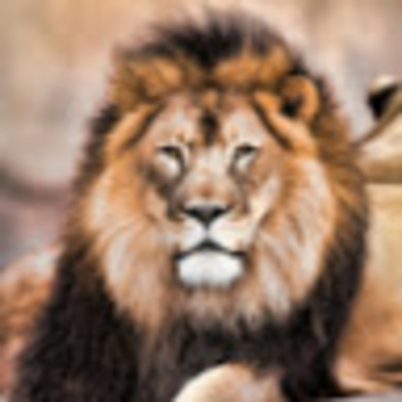 Meet your Posher, Bryce - Picture 1 of 1